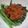 Cooksnap dari Ayyu Aghnia untuk resep Plecing Kangkung Pedas