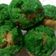 Cooksnap dari DWI OKTAVIYANTI untuk resep Bolu kukus pisang mekar sempurna