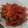 Cooksnap dari Desy Anggraeni untuk resep Balado Ikan Asin (Asin Kapas)