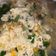Cooksnap dari Indah Juni untuk resep Sop Telor Jagung (Menu Sahur Simple)