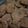Cooksnap dari Kasmi Yati untuk resep Pempek Dos Langsung Goreng