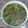 Cooksnap dari rizki suryaningsih untuk resep Bobor Daun Lembayung ☘️