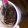 El cooksnap de Angysu cuando hizo Bizcocho de chocolate Sin Gluten.