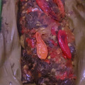 Cooksnap dari Indah untuk resep Pepes ikan kembung daun singkong