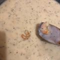 k_hetti Cooksnap-ja, amikor elkészítette a(z) Tejszínes garnélás tészta receptet.