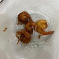 Cooksnap dari Sarach Karnova untuk resep Udang Goreng Balon😙🎈