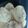 essence.emperial1's cooksnap of when they made Eggless Sugar Cookies.