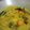 Cooksnap dari Ericha untuk resep Opor Ayam Bumbu Kuning