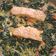 Cooksnap de Fenottegourmande sur la recette Saumon à la Toscane