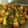 Keya Mandal's cooksnap of when they made আলুর দম (aloor dom recipe in bengali).