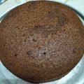 Cooksnap dari Wulan Kartika untuk resep Brownies Kukus Tepung Beras