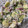 El cooksnap de Diana E. cuando hizo Ensalada de pepino y yogurt.