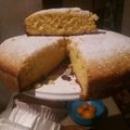 El cooksnap de alejandra cuando hizo Torta de mandarina en licuadora.