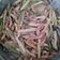 El cooksnap de Sandra Molina cuando hizo Spaguetti a la carbonara con champiñón y toque picante mmmm.