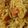 Vivek Agrawal's cooksnap of when they made Vegetable aata maggi.