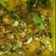 Cooksnap dari Firdah untuk resep Blakutak masak kuning