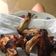 Cooksnap dari Shundari Dee untuk resep Garlic Lemon Chicken wing
