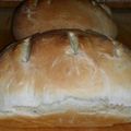 Michelle's cooksnap of when they made Bread.