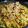 El cooksnap de Zaida TC @alquimiasfood cuando hizo Paella de conejo.