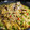 El cooksnap de Zaida TC @alquimiasfood cuando hizo Paella de conejo.