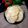Sneha Patel's cooksnap of when they made મઠિયા (Mathiya Recipe In Gujarati).