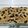 El cooksnap de Teresita Felíz cuando hizo Pan Focaccia con Romero y Aceitunas.