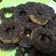 Cooksnap dari Ineke Suhudy untuk resep Donat Kentang pasti Empuk dan lembut