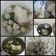 Cooksnap dari Riima Nhandya Indriyanti untuk resep Bakso Ayam Komplit Sederhana
