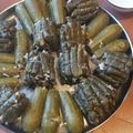 صورة من sara، شاركها بعد تجربة وصفة ورق عنب وكوسا