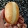 Cooksnap dari Leny Puspita untuk resep Donat Bombo Favorit si kecil