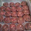 Cooksnap dari Patricia Cicilia Salampessy untuk resep Brownies Mini Panggang