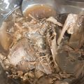 熬夜健身協會常任理事 的 藥燉排骨湯 cooksnap
