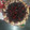 El cooksnap de Marta Rojo cuando hizo Tarta de manzana con arándanos frescos y jengibre cristal.