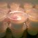 Cooksnap dari yunika untuk resep Silky Puding (puding susu)