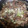 CristinaK's cooksnap of when they made Beef and Burdock Root with Eggs.