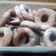 El cooksnap de Heblyn Tapia cuando hizo Rosquitas caseras.