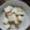 Cooksnap dari Isti N. Maulana untuk resep Creamy mushroom soup