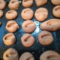 El cooksnap de poblesecandrea@gmail.com cuando hizo Galletas de café.