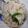 Itikona Banerjee's cooksnap of when they made সব্জী পোলাও (sabji pulao recipe in Bengali).