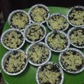 Cooksnap dari Adinda Putri untuk resep Oreo Cheesecake Simple