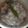Cooksnap dari galuhkts untuk resep Manisan kolang kaling bunga telang