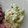 El cooksnap de Berenice Jasso cuando hizo Guacamole.