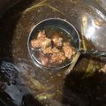 Cooksnap dari Jessica Nadia untuk resep 11. Rawon khas SukaSuka (Sengkel + Tetelan)