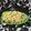 Aanal Avashiya Chhaya's cooksnap of when they made સાબુદાણાની ખીચડી (Sabudana Khichdi Recipe In Gujarati).