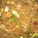 Cooksnap dari Nila Triwidyani untuk resep Bihun Goreng Kecap