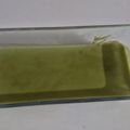 Cooksnap dari it's a wolf thing! untuk resep Matcha Panna Cotta 4 Bahan, Tanpa Cream