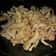Cooksnap dari Putri Puspa Sasmitasari untuk resep Jamur goreng crispy