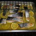 El cooksnap de SERVICIOS COMERCIALES ORIENTALES cuando hizo Salmón borracho al horno en colchón de mandarinas.
