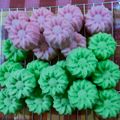 Cooksnap dari Santi Hardiyati untuk resep Apem Kukus Menul anti gagal Menu Bakulan