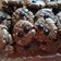 Cooksnap dari Dini Fipit Agustin untuk resep Goodtime chocochip kacang tanah simple